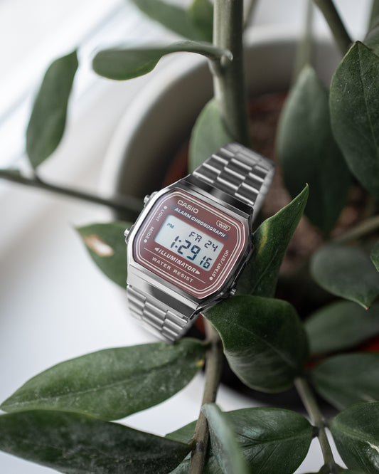 Casio Vintage A168WA-5AYES