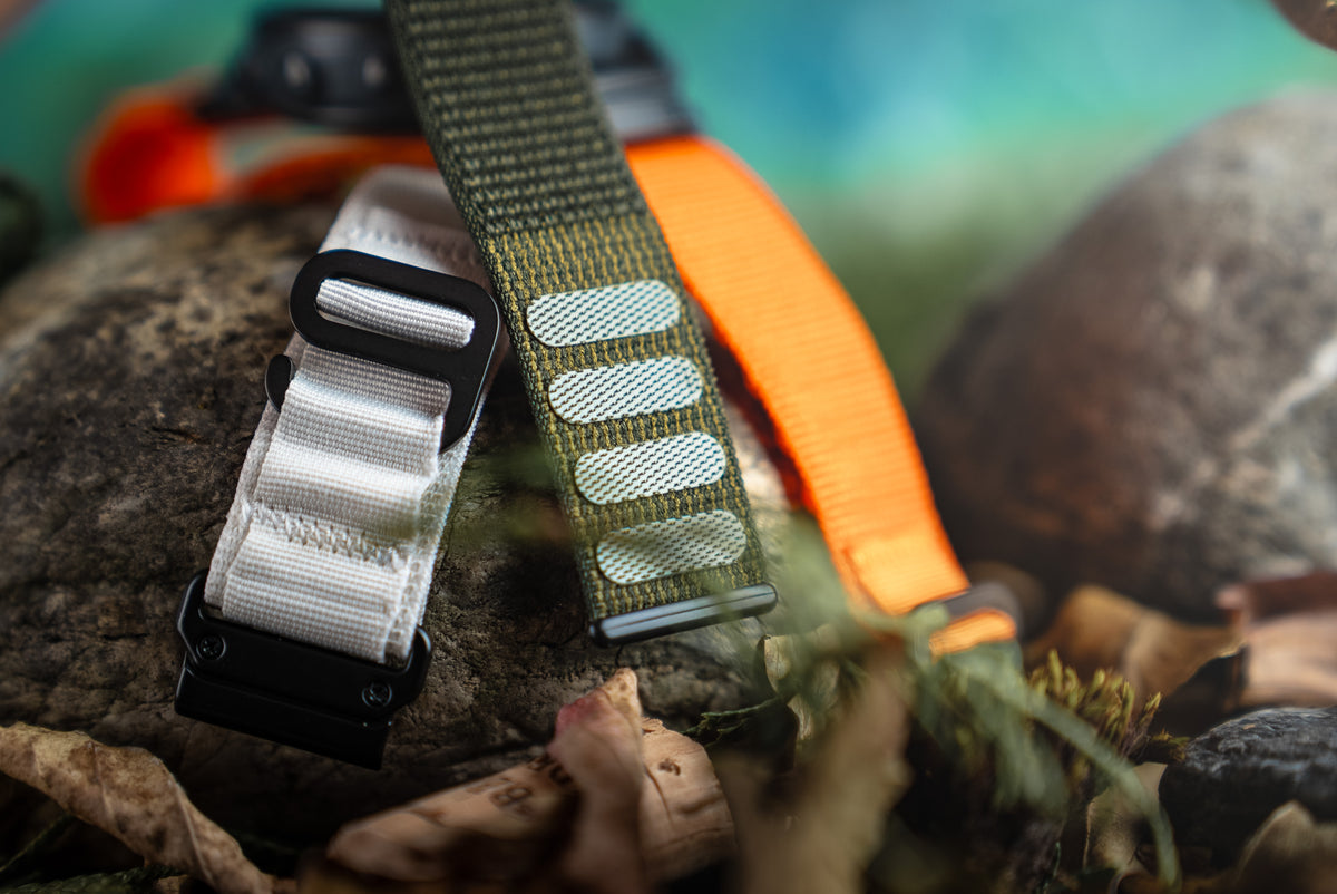 Garmin klokkereimer – Norgesreima
