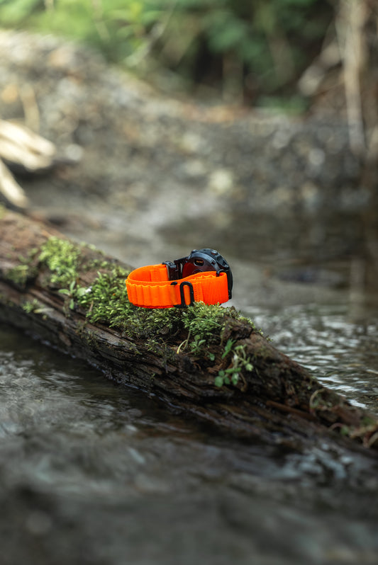 Alpine Loop m/quick fit for Garmin oransje